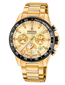 Festina Timeless Chrono F20634/6