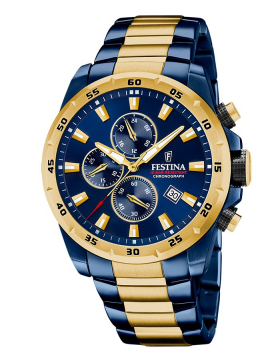 Festina Timeless Chrono F20564/1