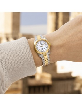 Festina Swiss Made Classic F20088/1
