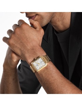 Festina Classic F20678/2