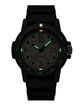 Luminox Sea Bass Carbonox X2.2005